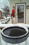 Bird Bath - Heated Clamp Mount