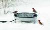 Bird Bath - Heated Ground Level