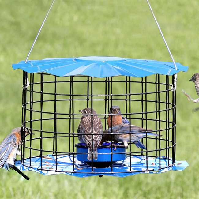 Bluebird / Songbird Mealworm Feeder