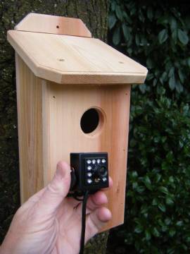 Northwoods Cedar Birdhouse with Hawk Eye HD Cam